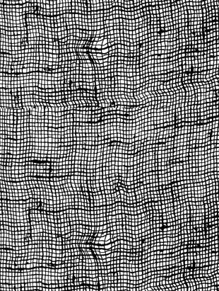 Cheesecloth Background