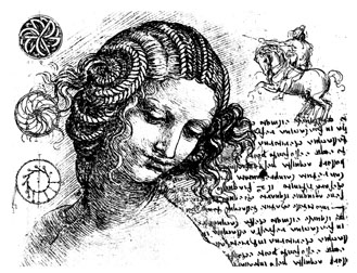 Cosmos Collage