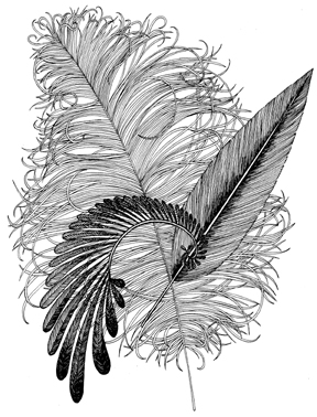 Feathers