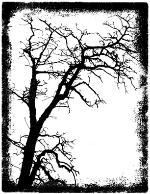 Grunge Tree