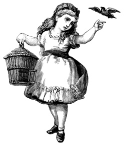 Lost Bird