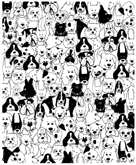 Many Dogs