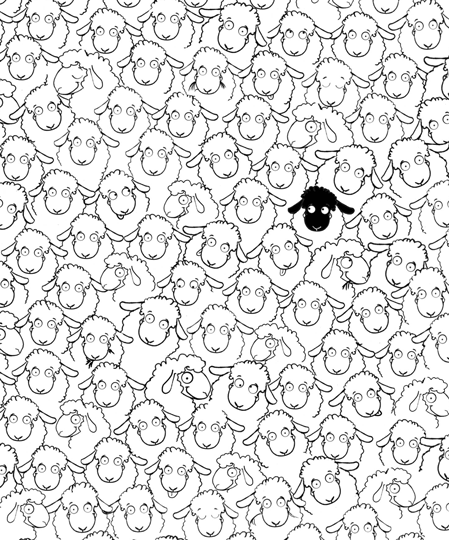 Many Sheep