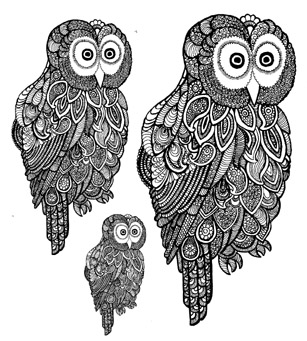 Owls Set