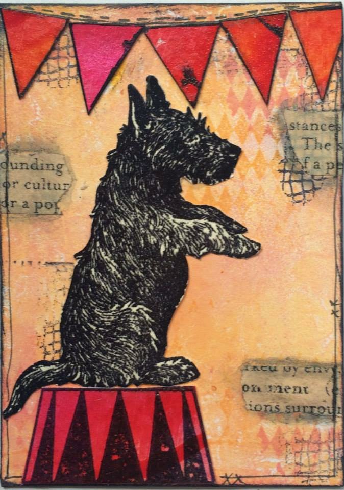 Circus Dogs