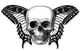 Skull With Wings