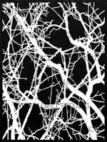 Thicket Background