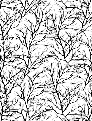 Tree Branches