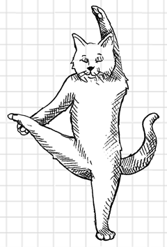 Yoga Cat 7